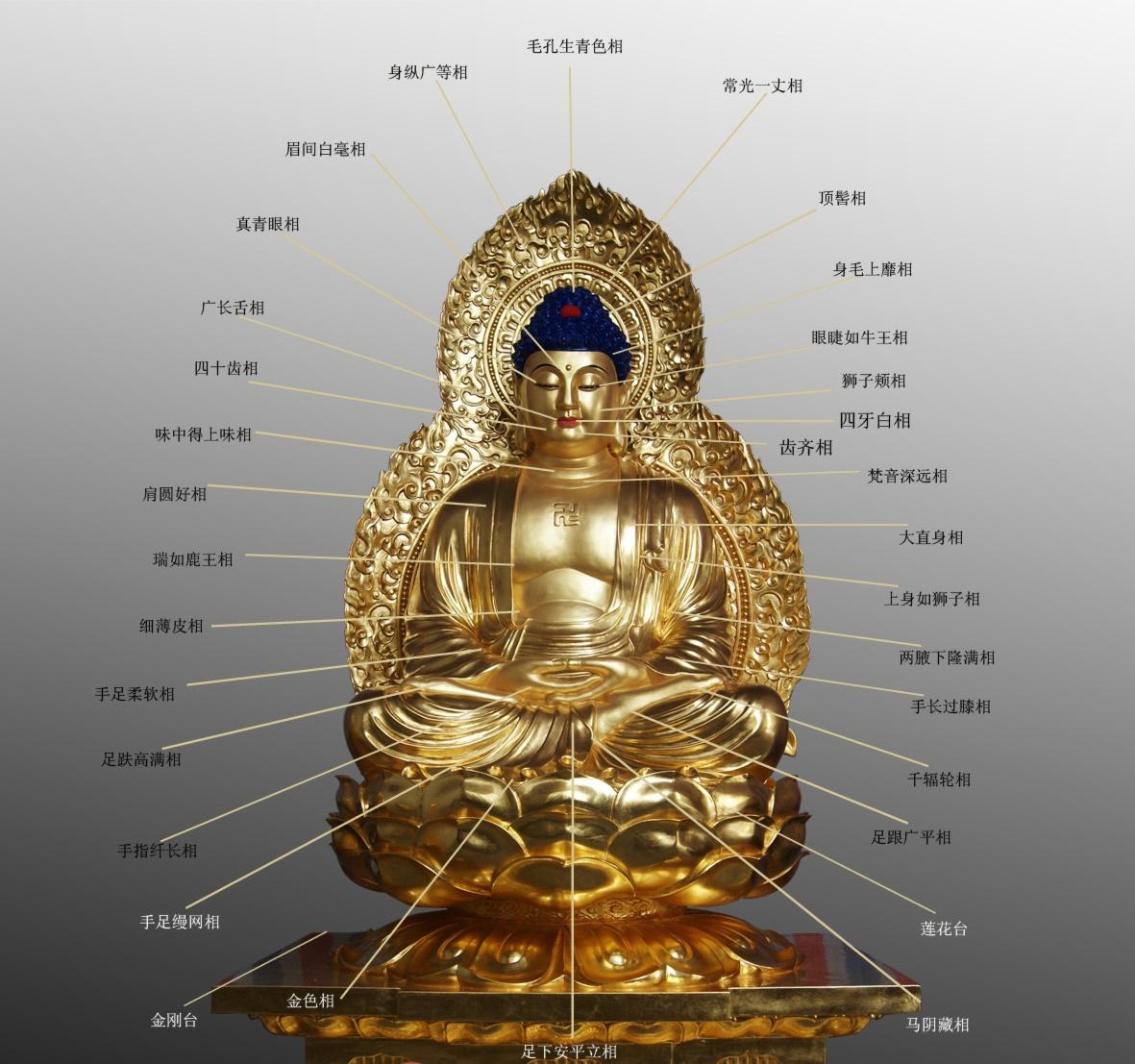 佛像的造像理念主要来源于天竺(今印度)的"三十二相,八十随行好".