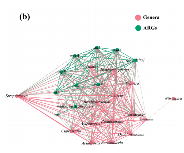 凌恩生物资讯|抗性宏基因组又一力作|抗性基因+可移动元件研究新成果！ - 知乎
