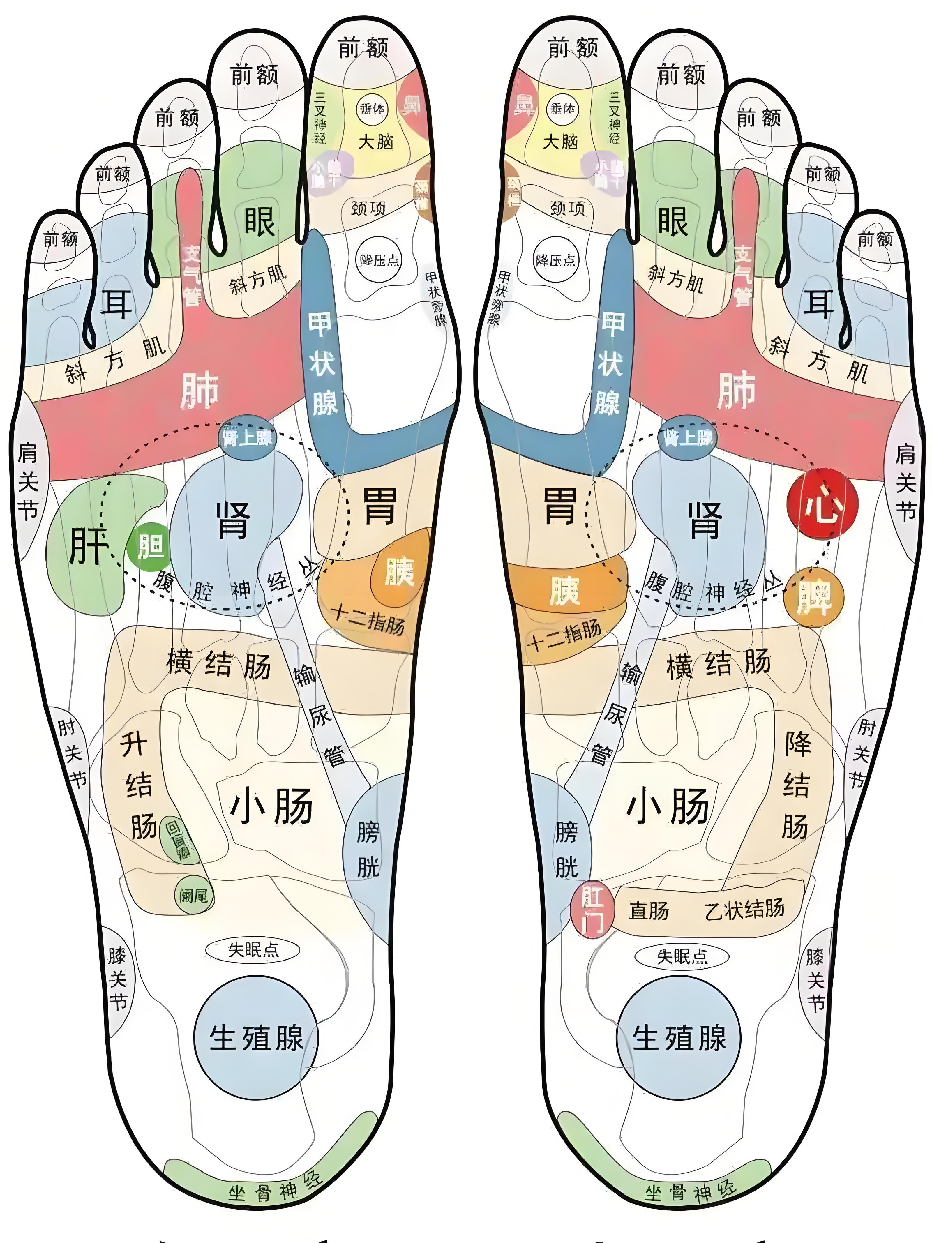 指压板/趾压板连续踩180天,会成为超人吗?【第4天】 - 知乎