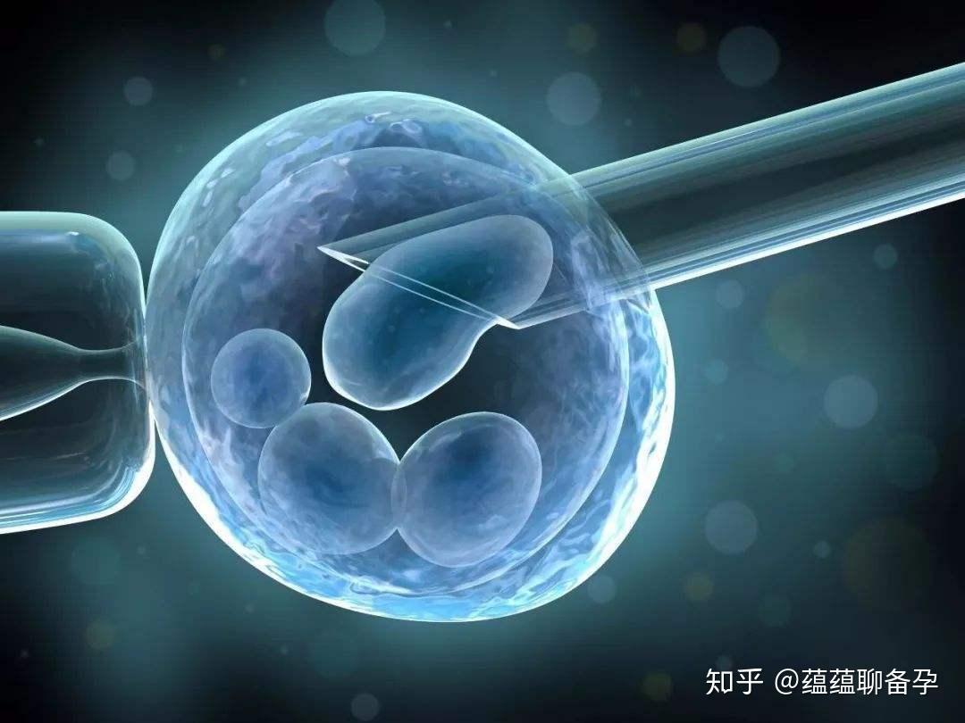 胚胎发育过程_1920X1080_高清视频素材下载(编号:6173862)_影视包装_光厂(VJ师网) www.vjshi.com