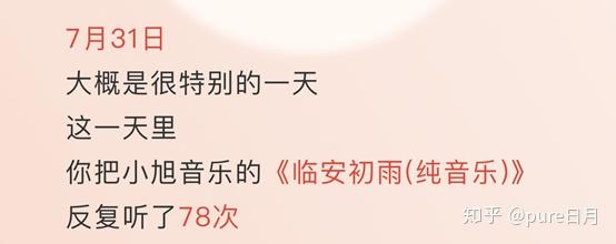 网易云年度报告