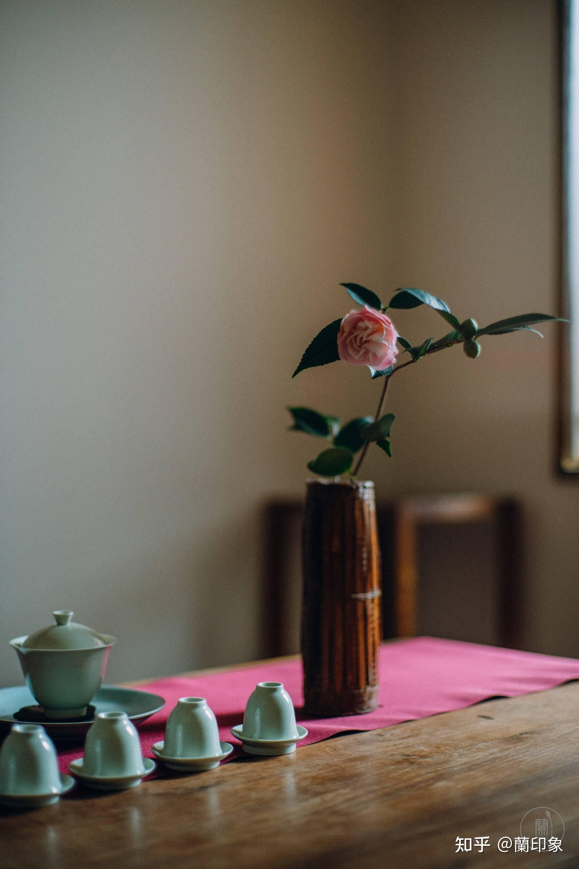 花道老师蘭晓#用植物诠释茶空间美学|茶席花