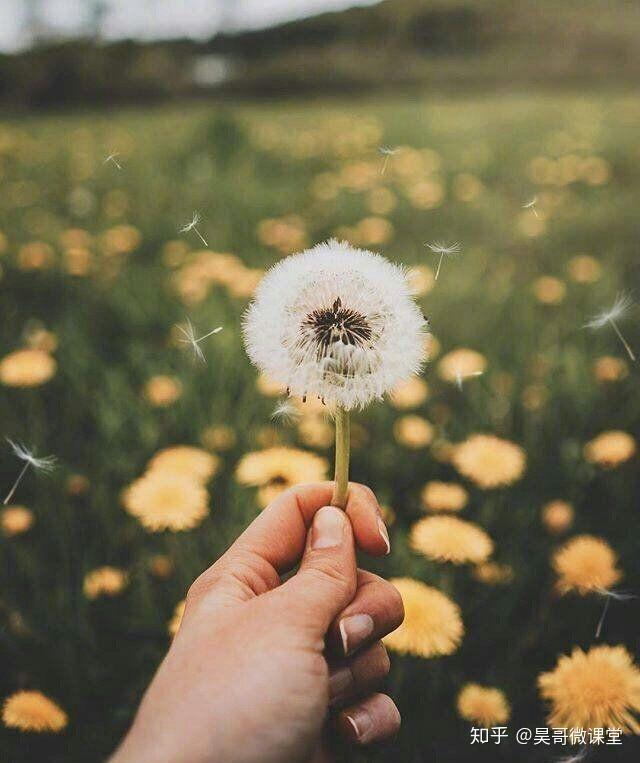 v2-a00a6ffc40ce4ce26bd971c5c0d3fbb7_r.jpg