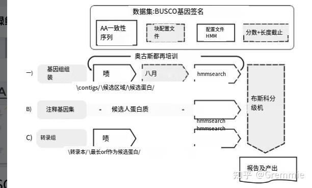 从头全基因组组装De novo whole genome assembly - 知乎