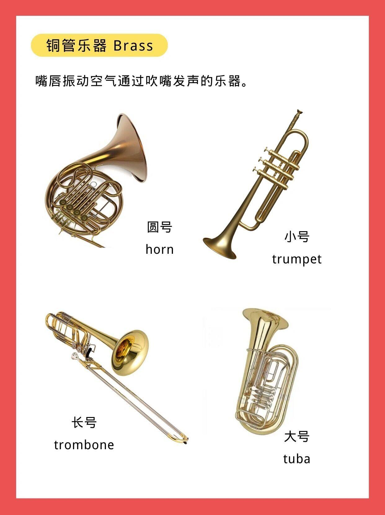 认识管弦乐器的中文和英文名称，全网最全，赶紧收藏起来吧～ - 知乎