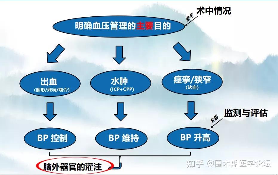 尼卡地平泵入用法图片