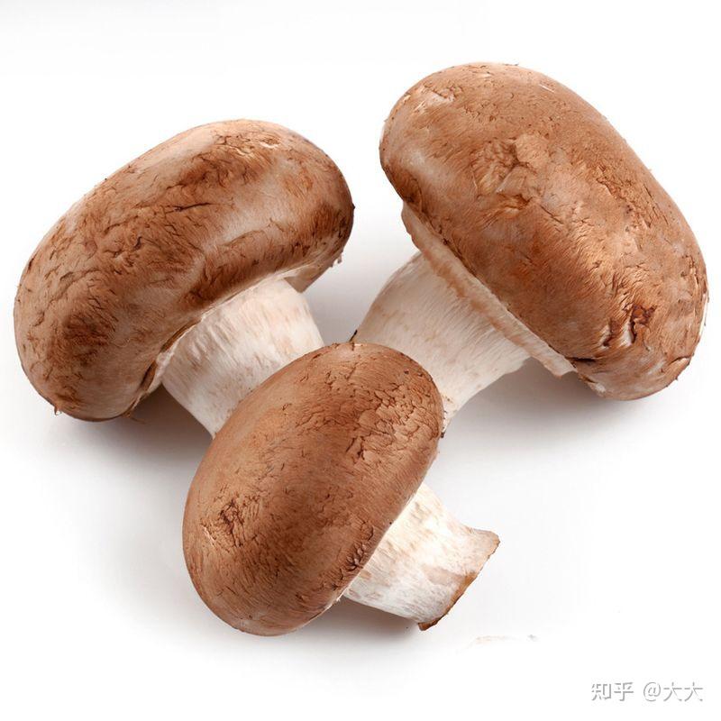 第一次到菜市场买到了假香菇