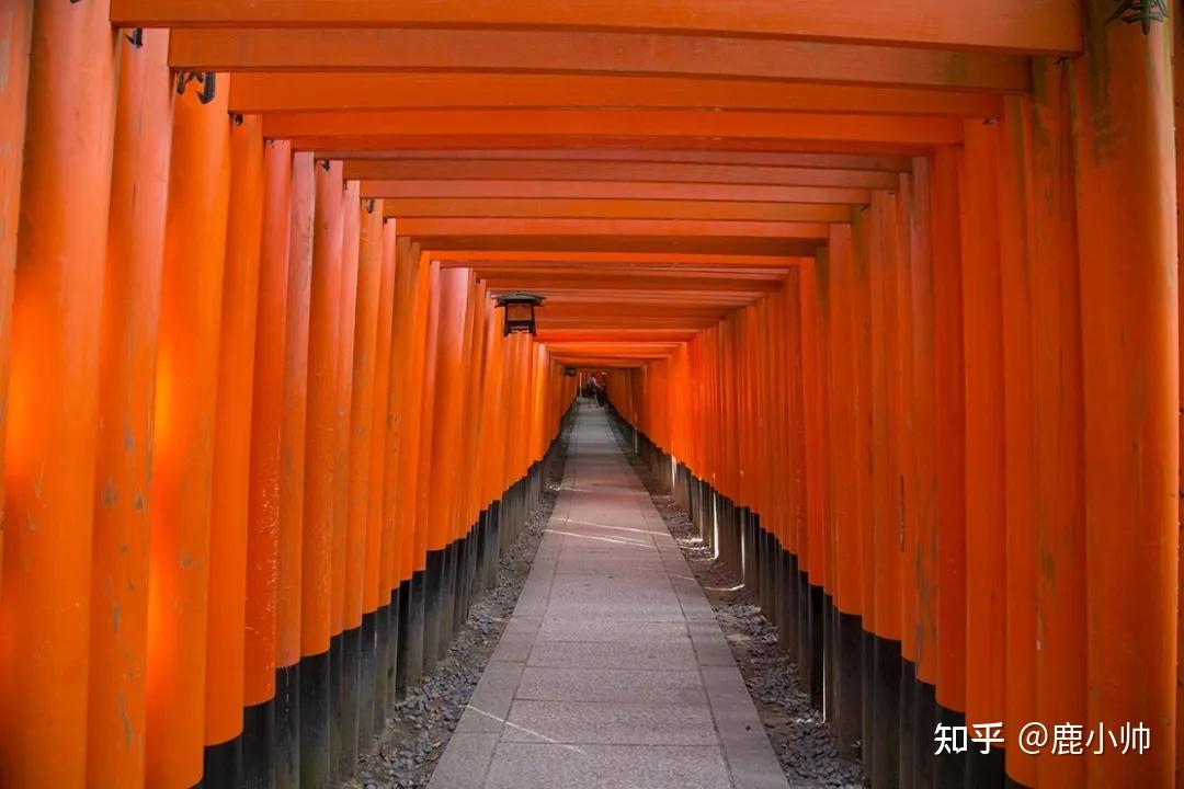 摄影初学者有哪些好用的构图技巧