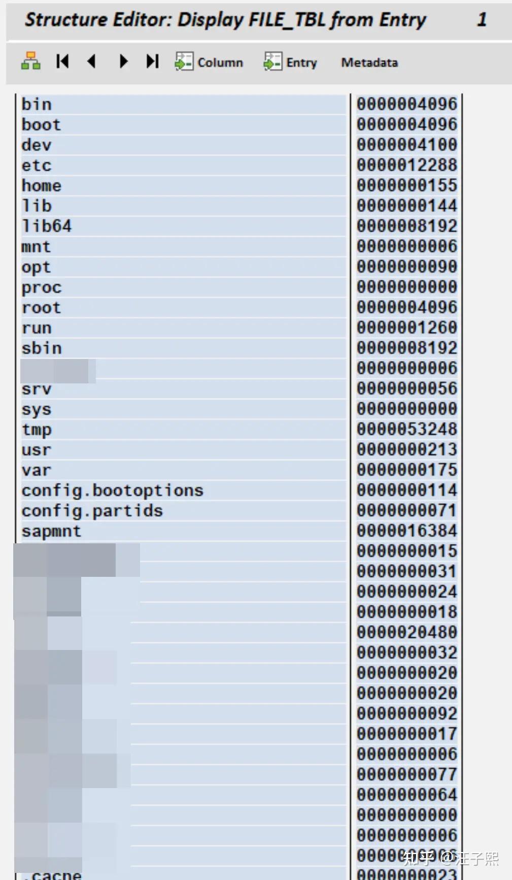 聊聊 ABAP 里的 System Function Call - C 语言函数调用 - 知乎