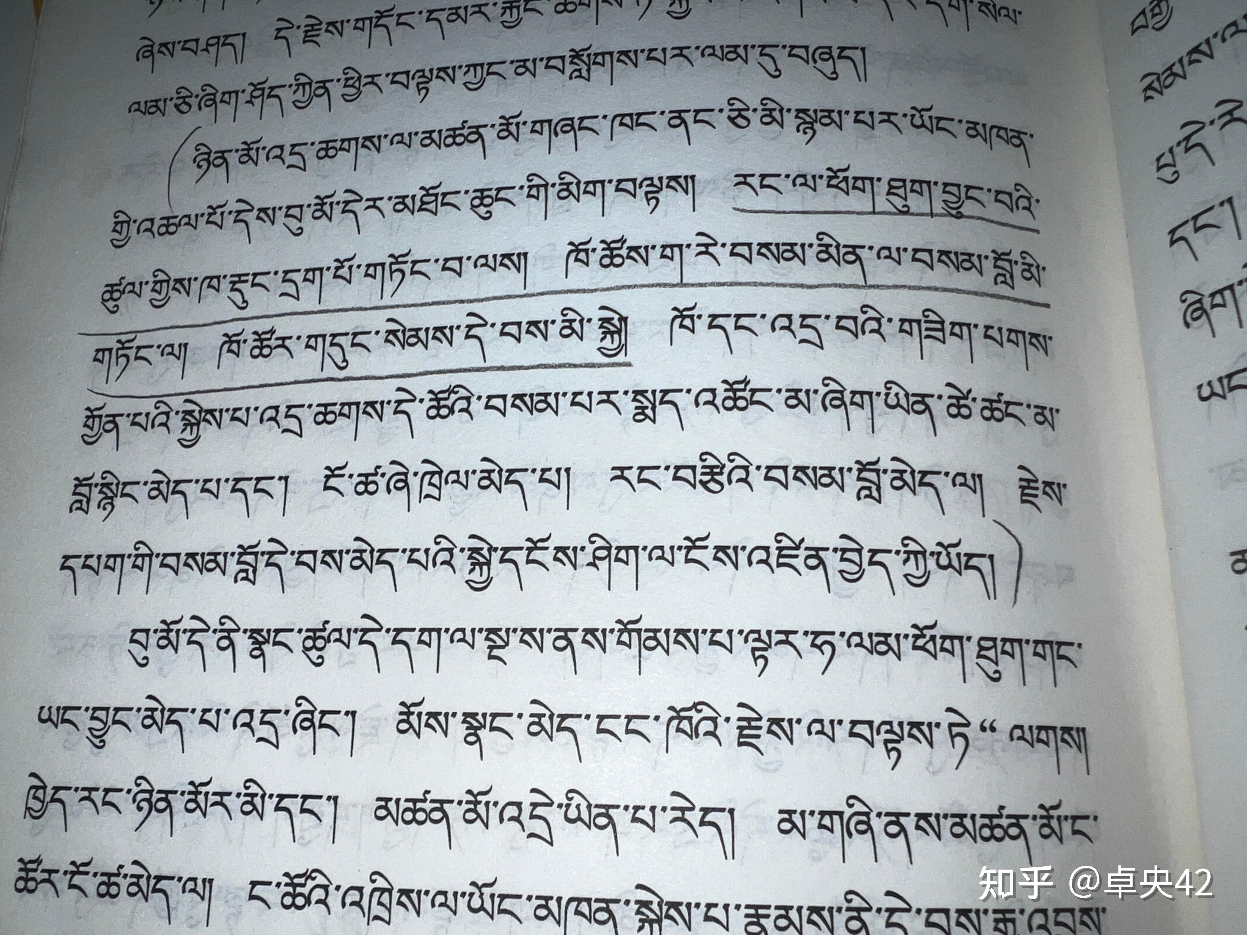 མེ་ཏོག་དང་རྨི་ལམ། 《花与梦》 - 知乎