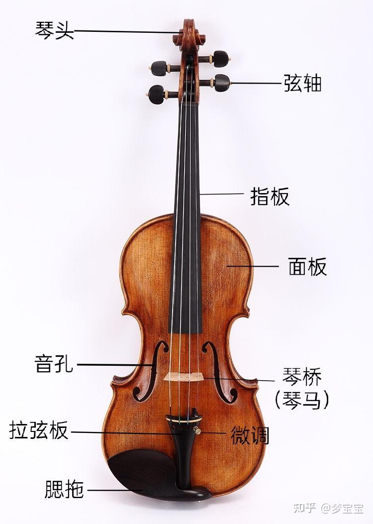 小提琴结构名称图片