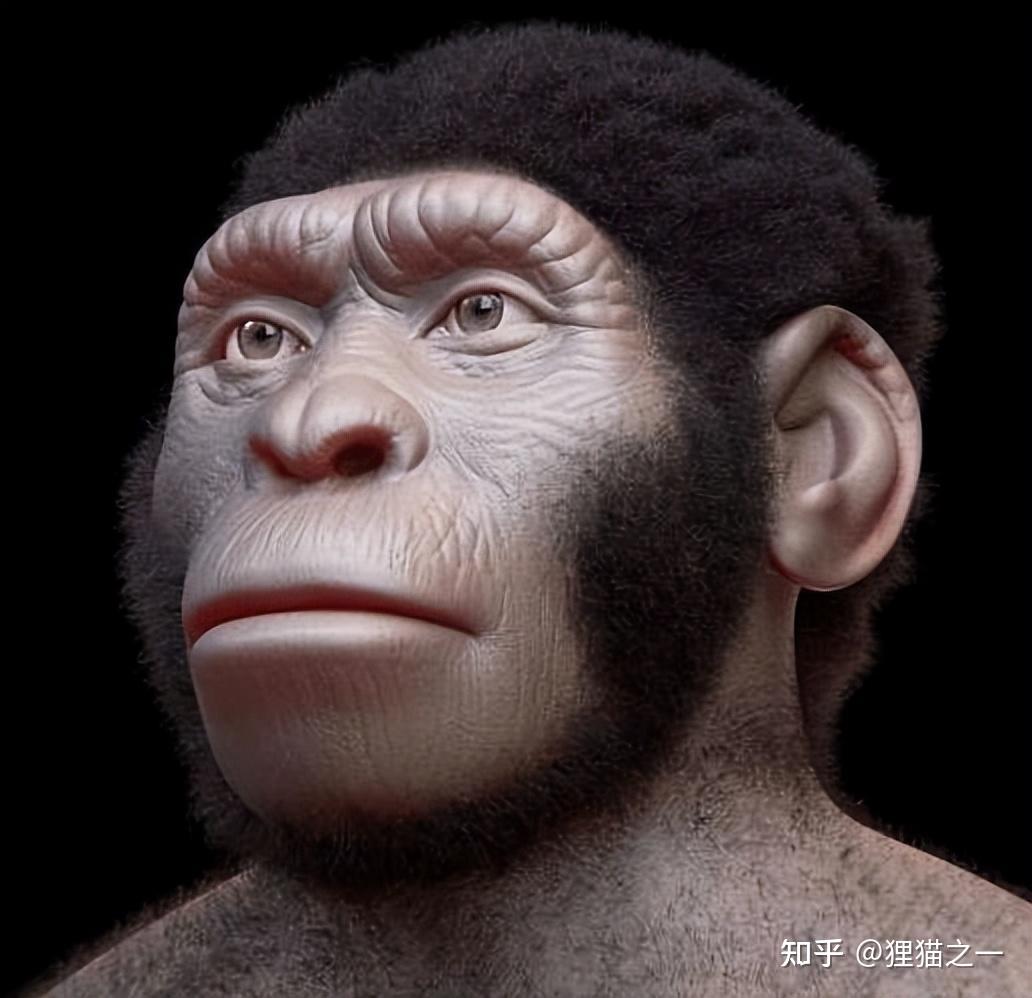 南非发现最古老墓地,距今约20万年,墓主是介于人和猿的原始物种 - 知乎
