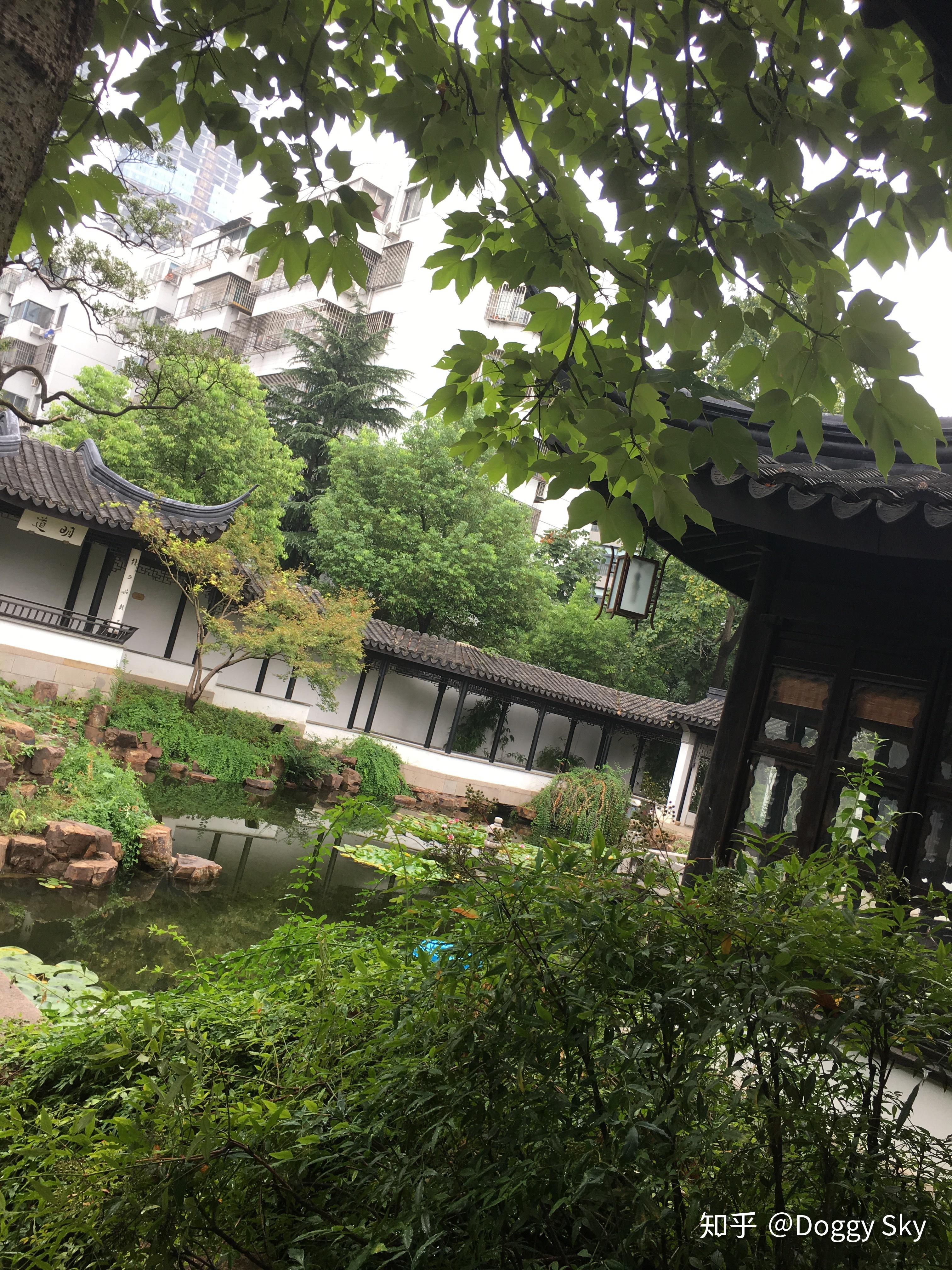 吓死宝宝了枇杷园仿造拙政园小飞虹有点大隐隐于市的意境寻梦