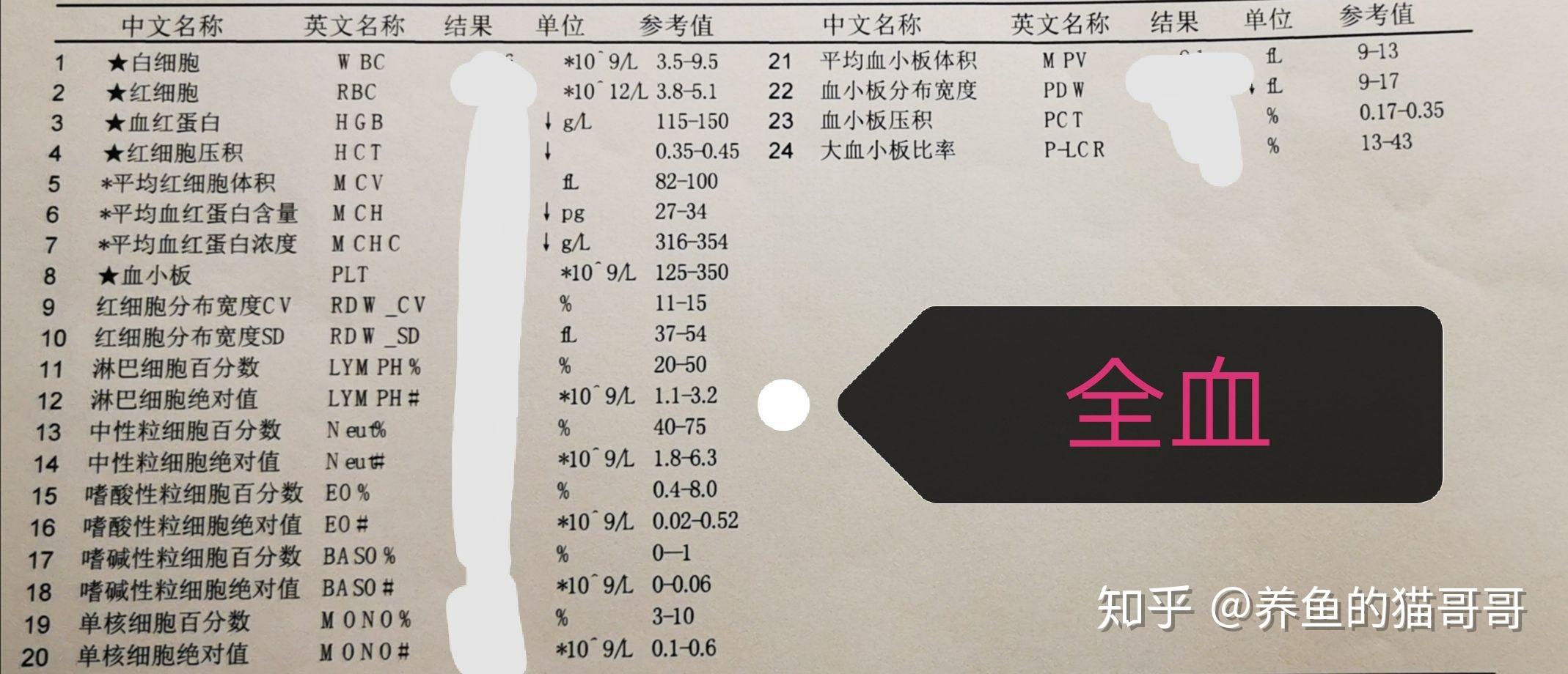 下巴起大包結腸黑變病日本小粉丸腸鏡胃鏡檢查流程