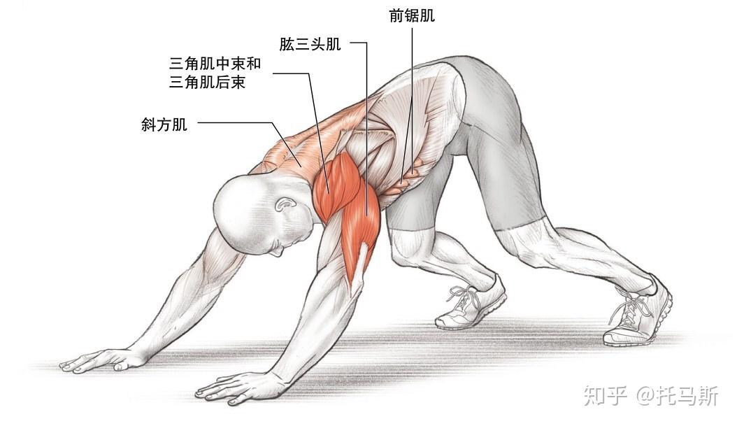 怎么学会倒立最快 v2-a0c71ea363d1637907b2934aa58f2e13_r.jpg