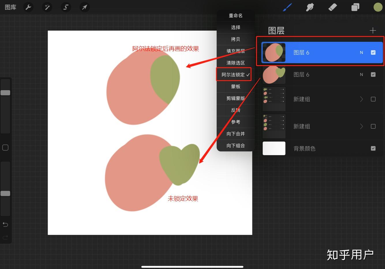 绘画零基础如何使用procreate画画？ - 知乎