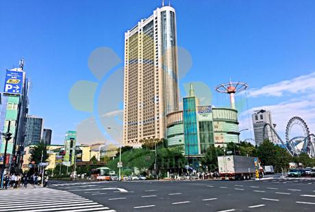 东京文京区的房产投资分析