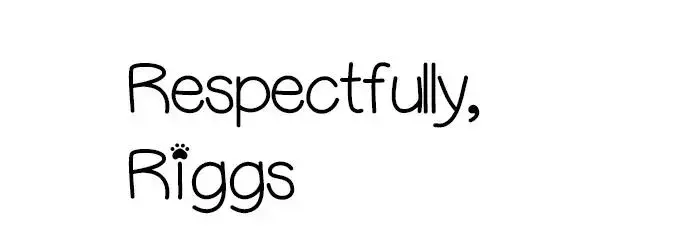 respected / respectful