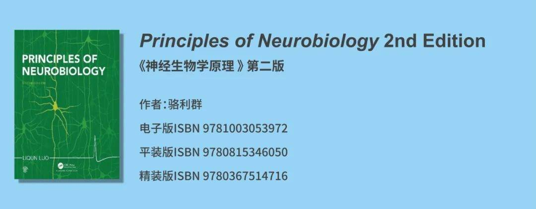 骆利群院士权威神经生物学教材- Principles of Neurobiology《神经生物