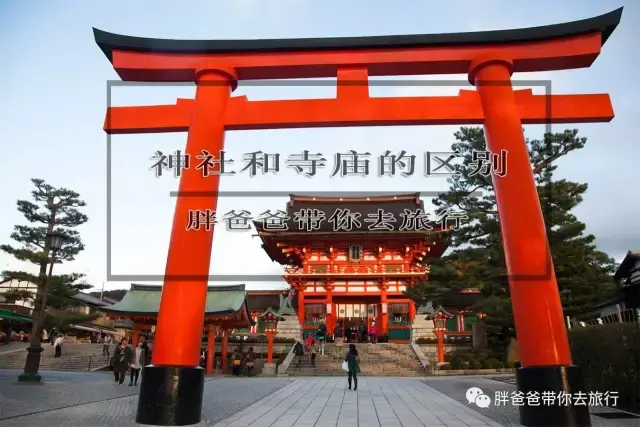 揭秘日本文化 神社和寺庙有什么区别 知乎 揭秘日本文化 神社和寺庙有什么区别 知乎