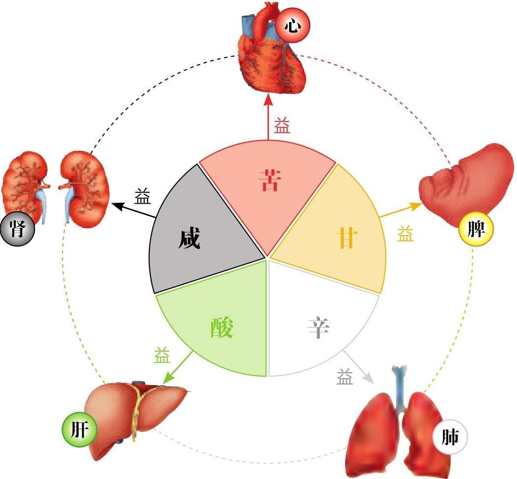 四性五味——食物的营养分析 - 食物搭配,营养倍增 - 知乎书店