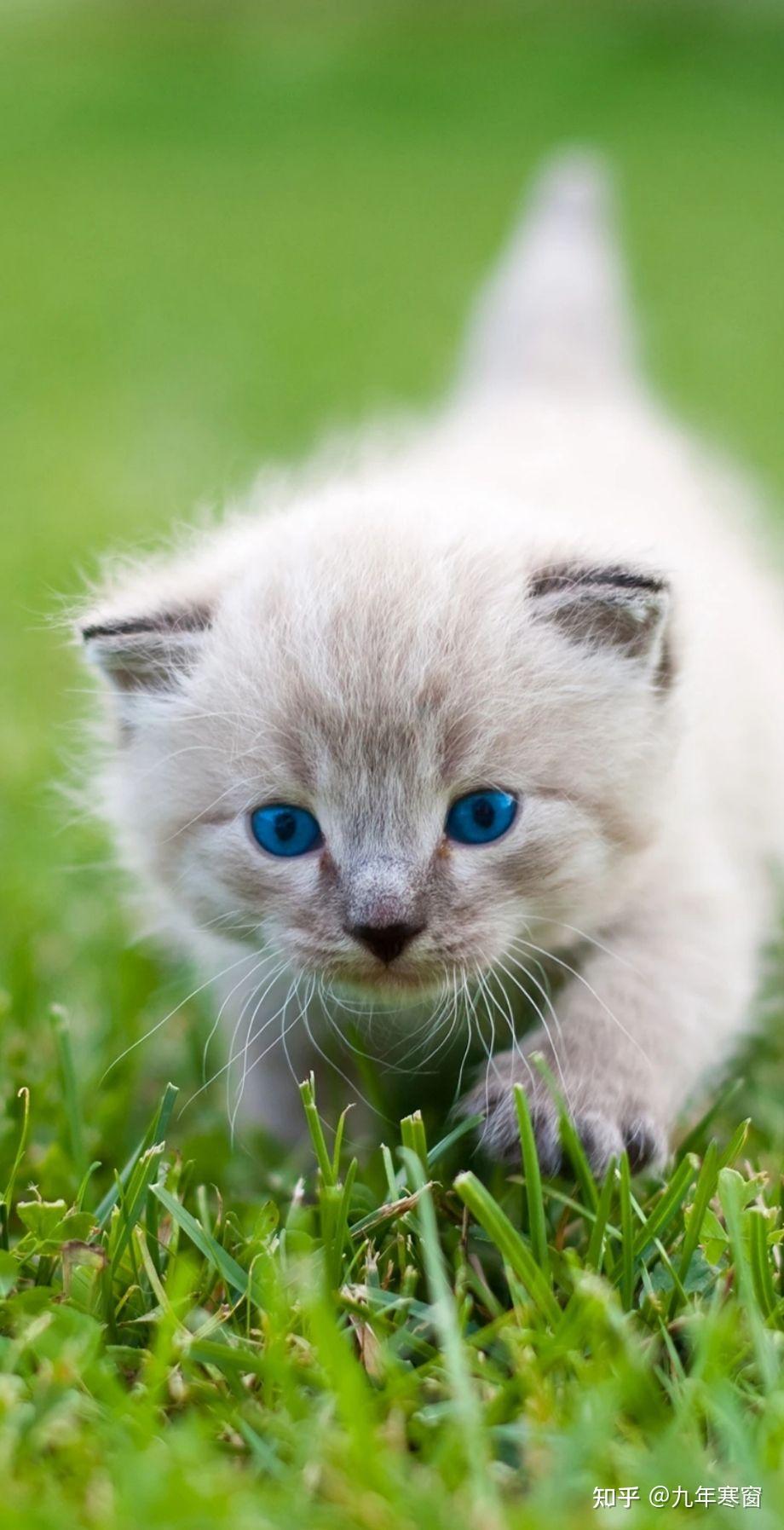 无法支付的应付账款_应付账款无法支付原因_应付账款无法支付计入什么科目