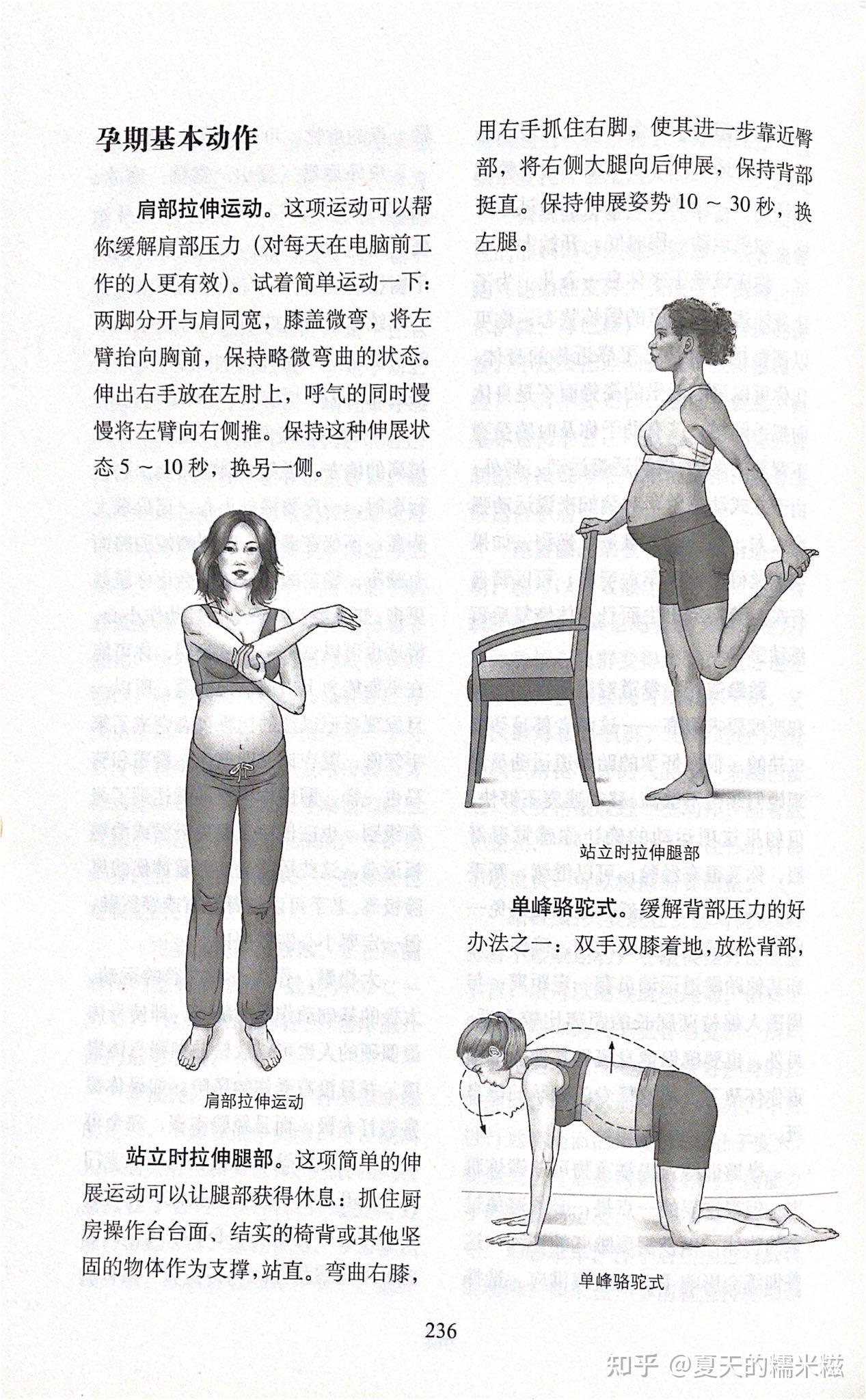25min孕中期锻炼|中字|全孕期安全-一宝在运动-一宝在运动-哔哩哔哩视频