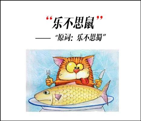 逆天了这些谐音成语都被玩坏了