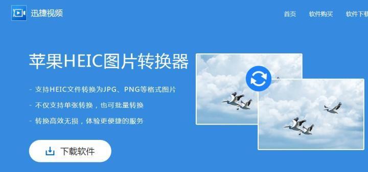 HEIC photos do not display in WORD documents Microsoft Community