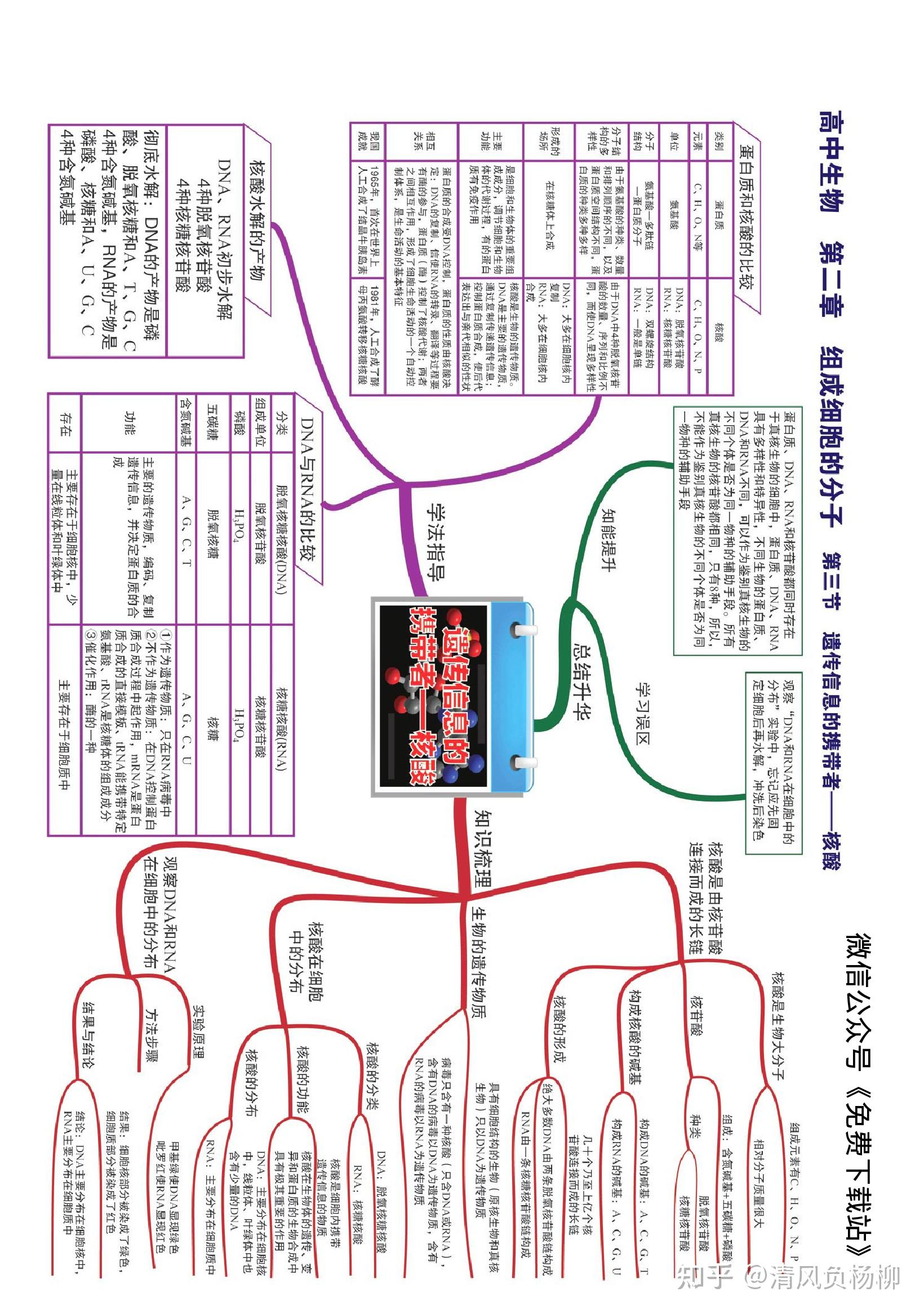 高中生物全套思维导图高清版竖版