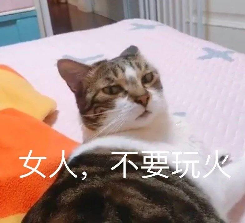 魔性表情包 - 知乎