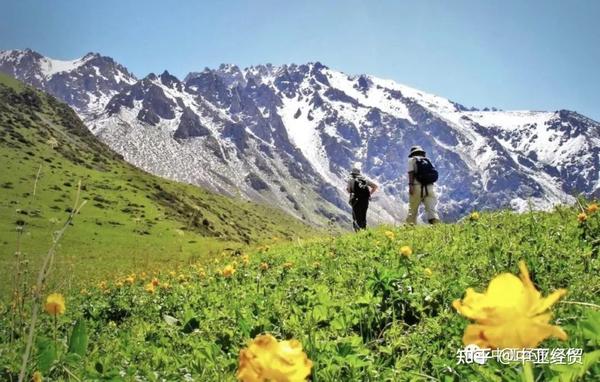 中亚签证免签那些事，中亚五国计划全部免签证？ 知乎