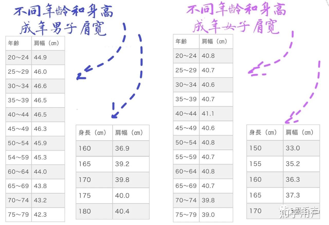 女孩子身高168肩宽36算宽吗