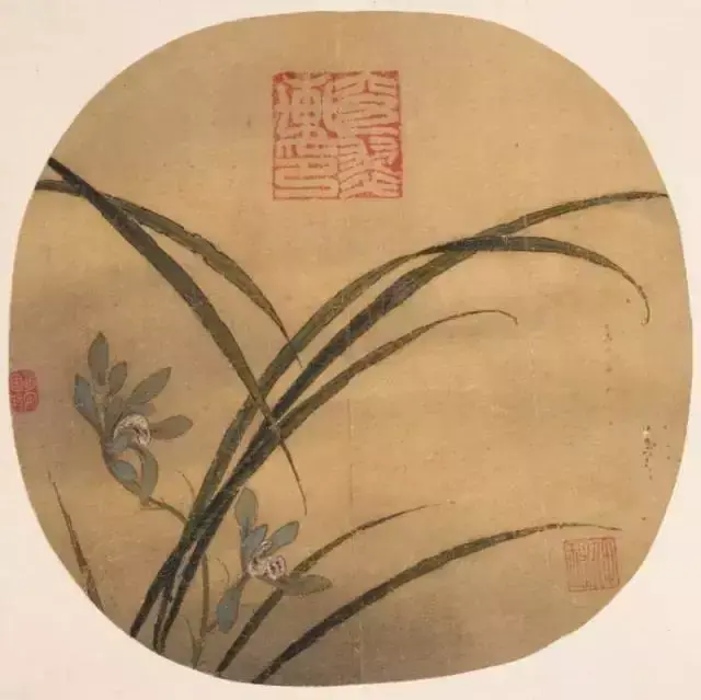 兰花之美,只有中国人最懂! - 知乎