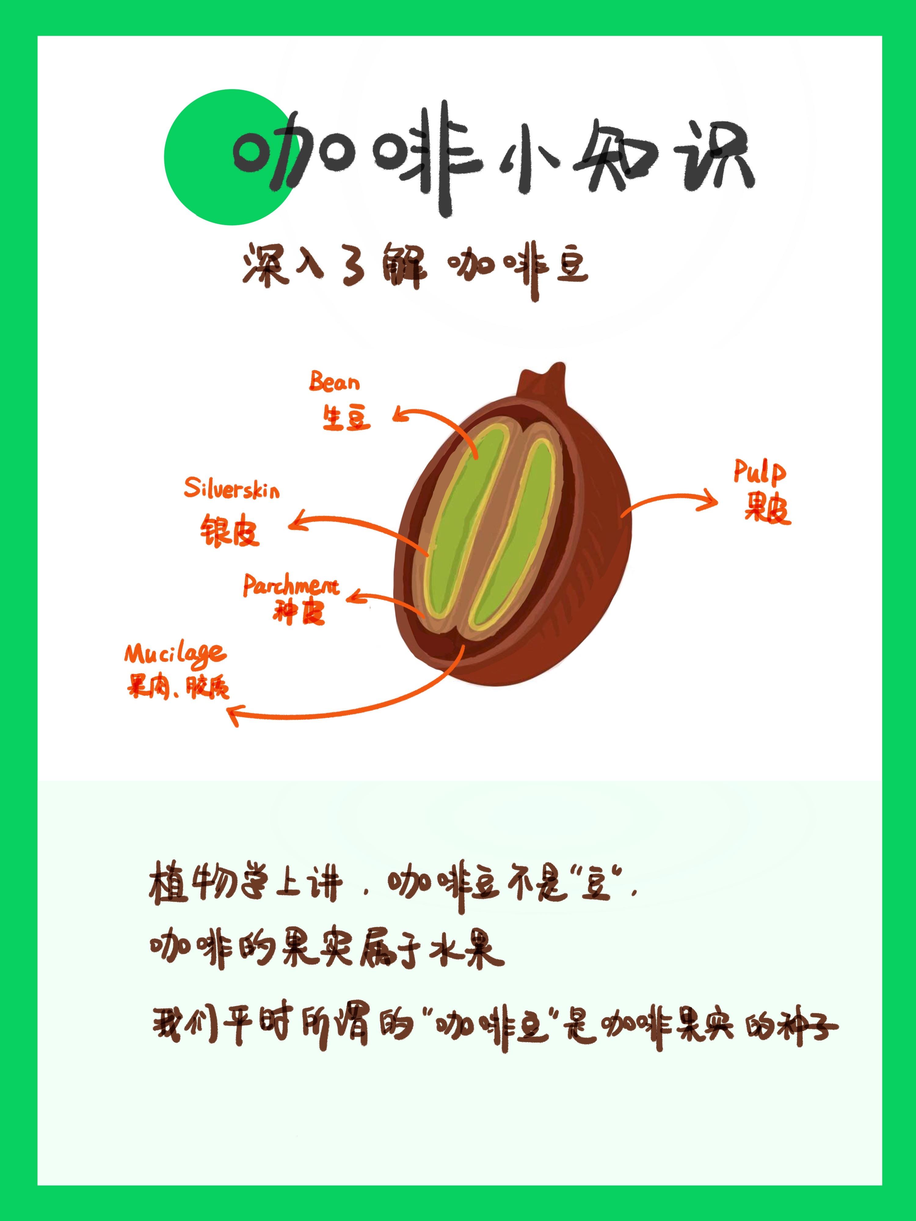 一张图看懂咖啡小知识入门看这些75
