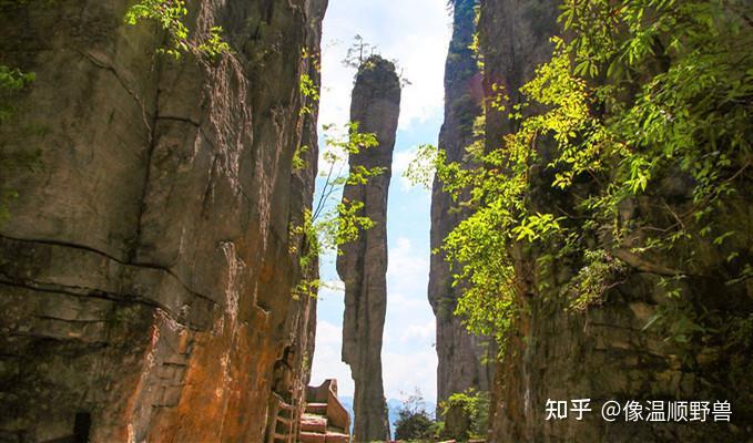 恩施旅遊有哪些值得一去的景點推薦有什麼好玩的地方門票需要多少