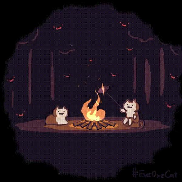 魔性猫猫everyday one cat 表情包