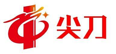 舒城中学的尖刀班是什么