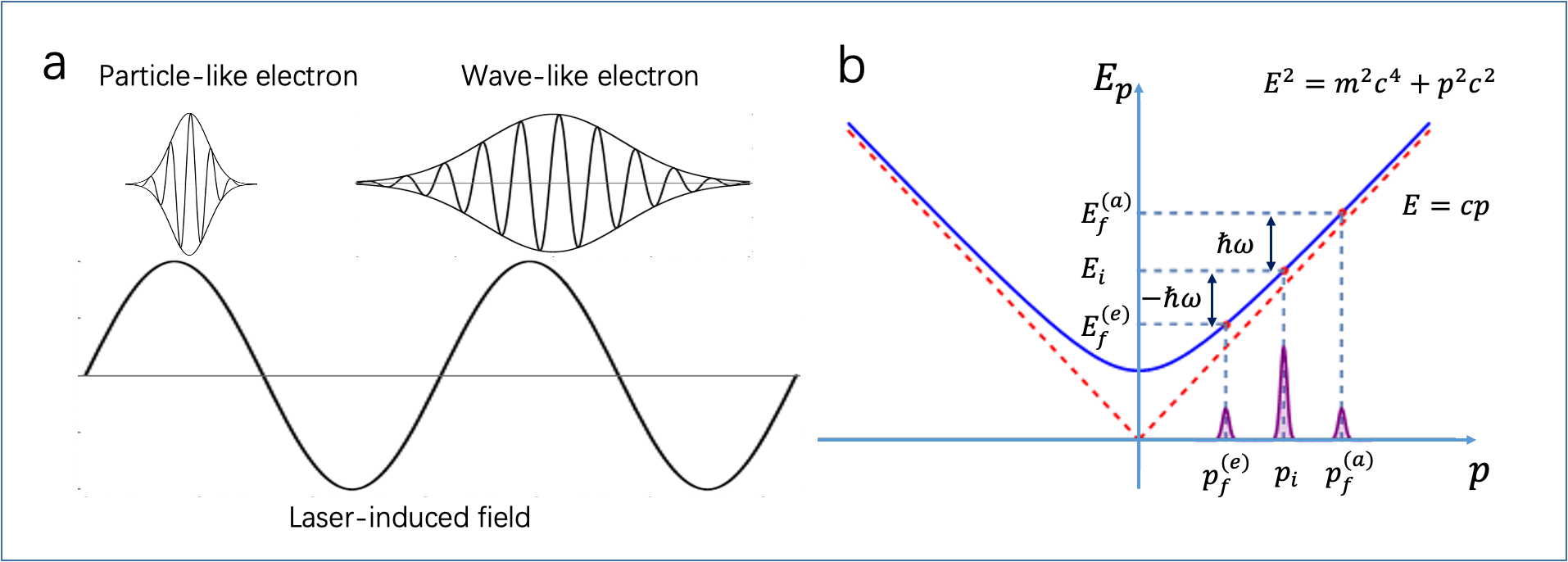 2. Photoninduced nearfield electron microscopy (光学诱导近场电子显微镜)：经典和量子聚束