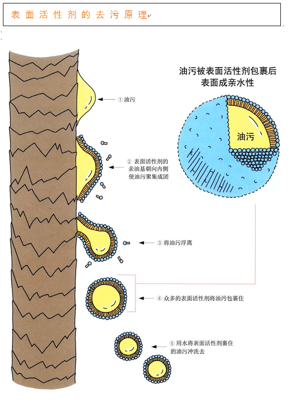 毛发的科学七洗发护发用表面活性剂除去油污的原理