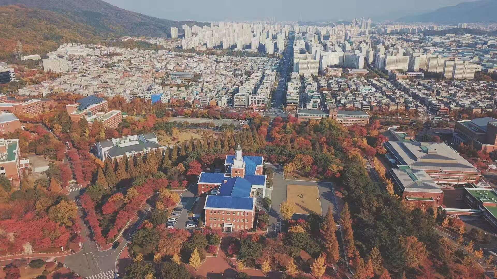 潍坊韩国留学可以直接申请本科吗?