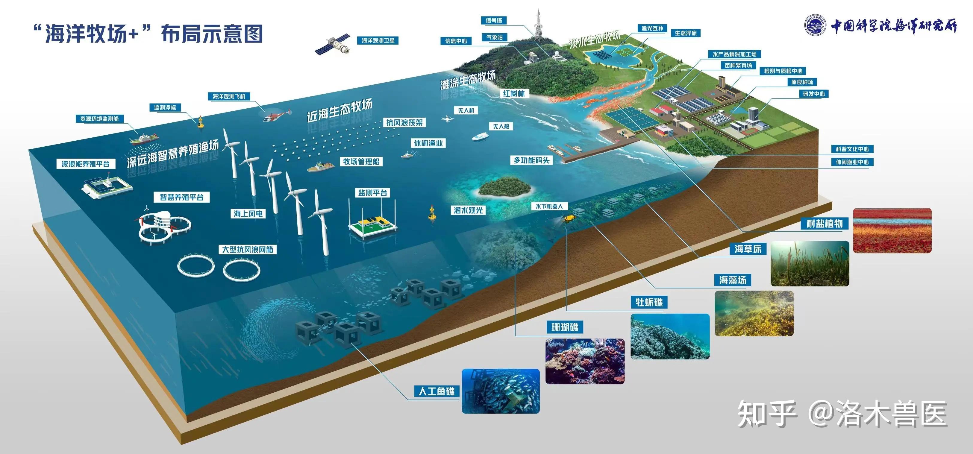 现代化海洋牧场——人海和谐新场景 - 知乎