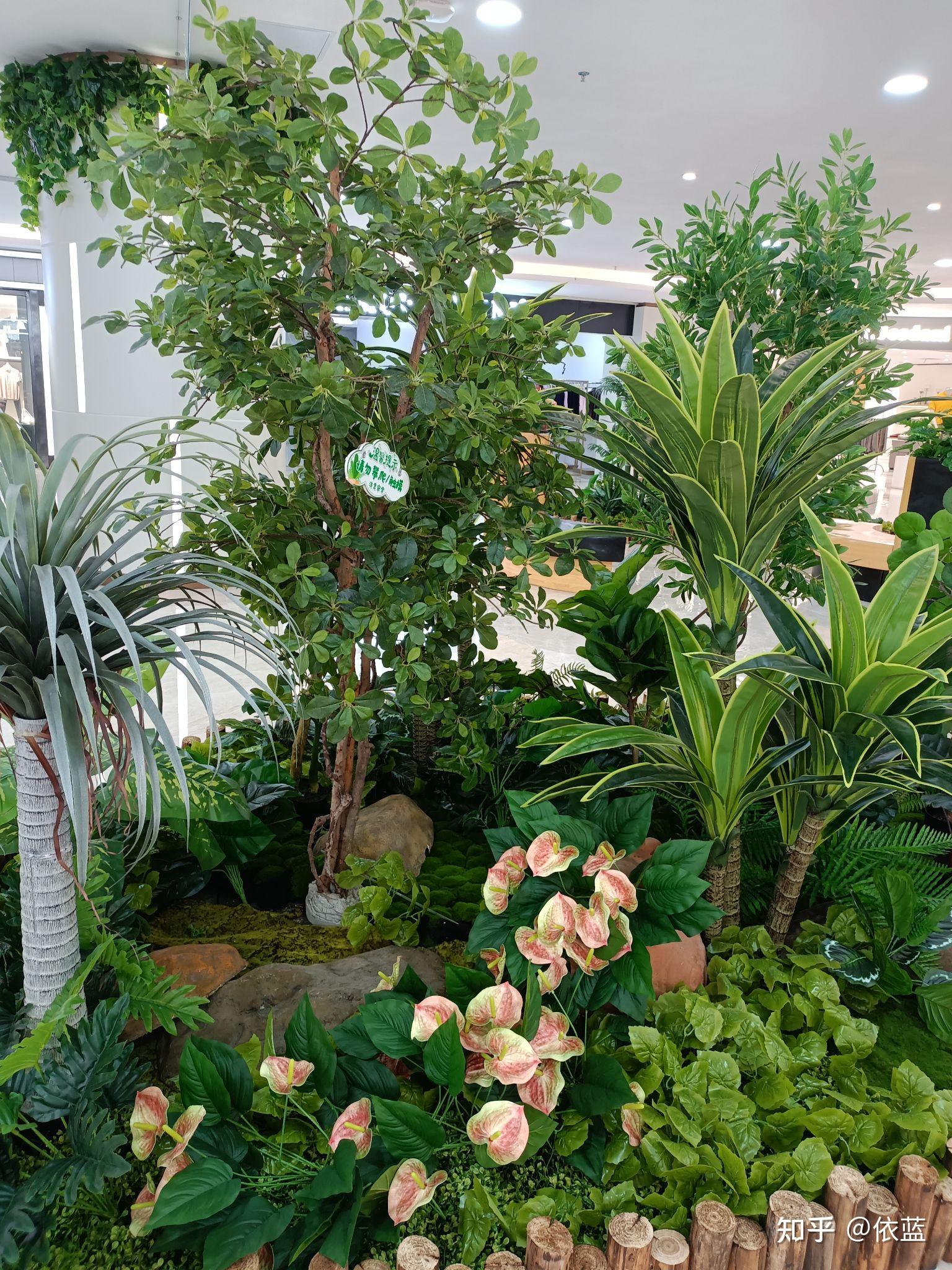 前两天去逛商场,在商场看到一些绿植美景,虽然是一些假的绿植景,但是