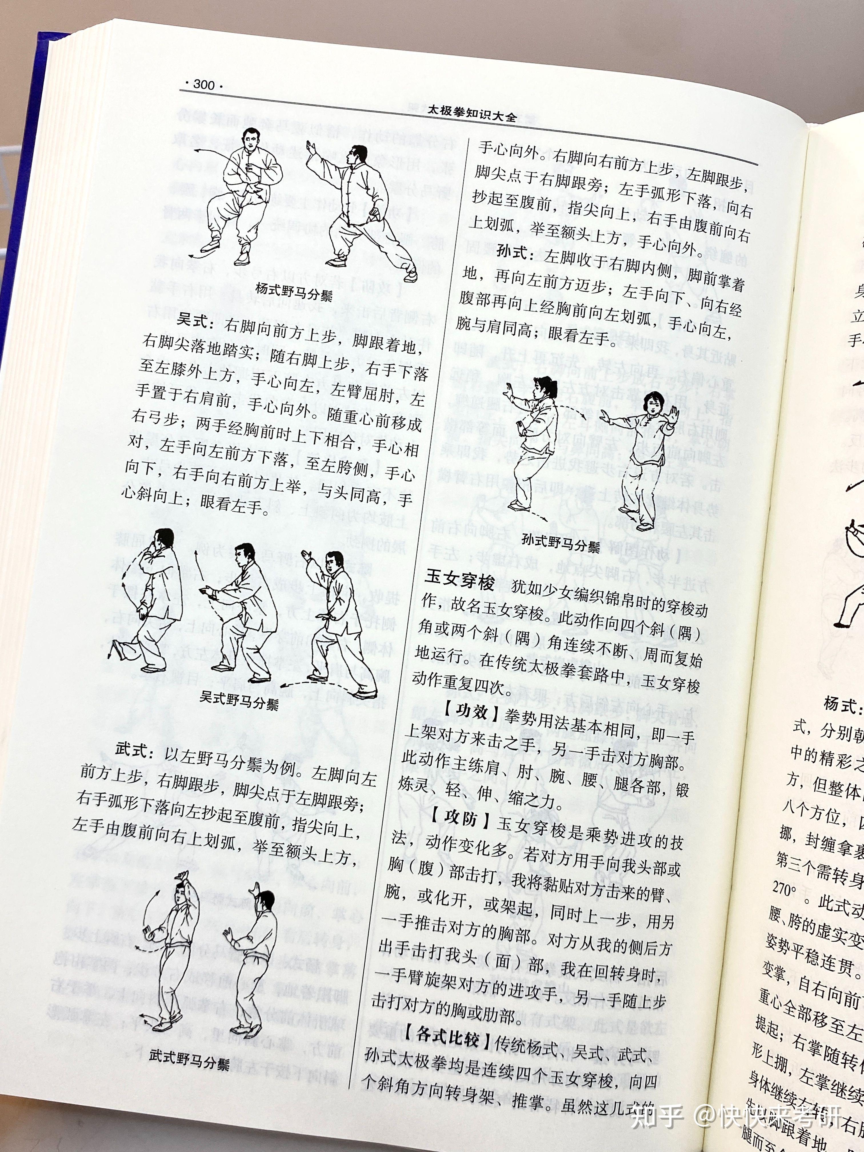 养生太极掌第一套(养生太极掌第一套口令词)