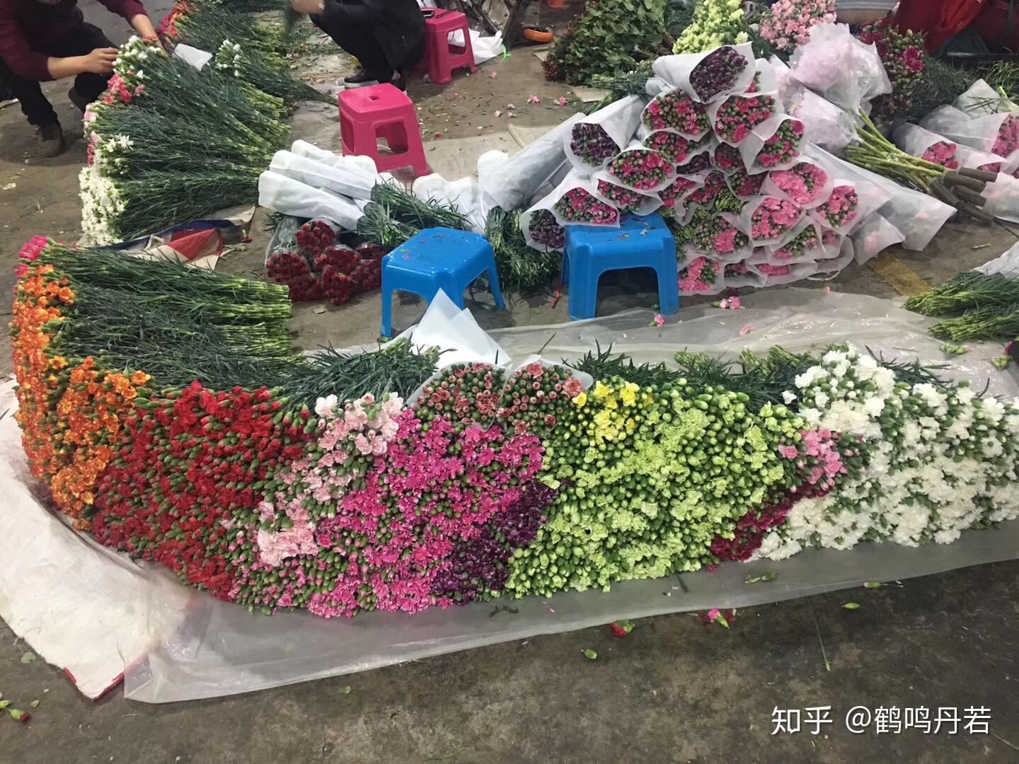 唐山开平：直播花卉销售忙-唐山频道-长城网