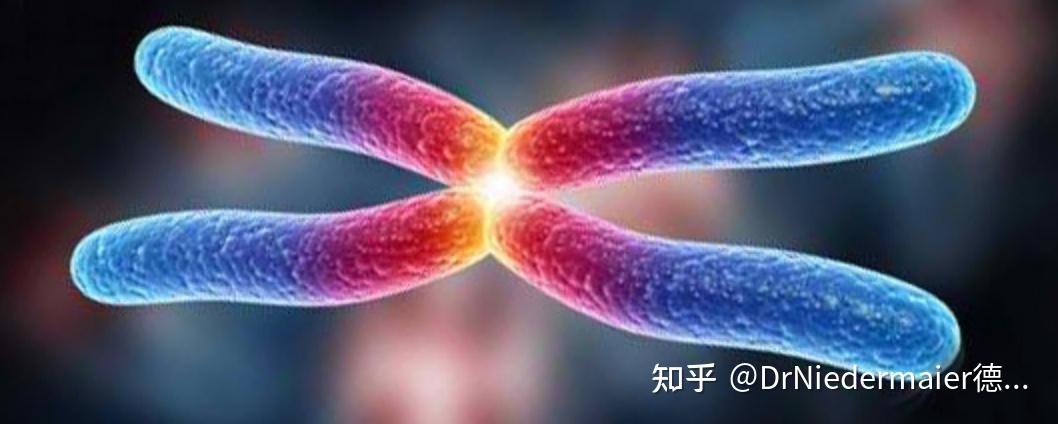 探寻细胞端粒酶的奥秘。端粒是什么？为什么说端粒是人体健康的守护者？提高端粒酶活性的方法有哪些？ - 知乎