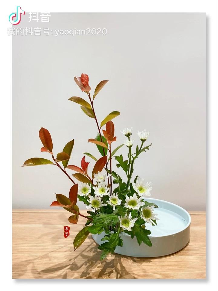 日本花道——小原流盛花观水型