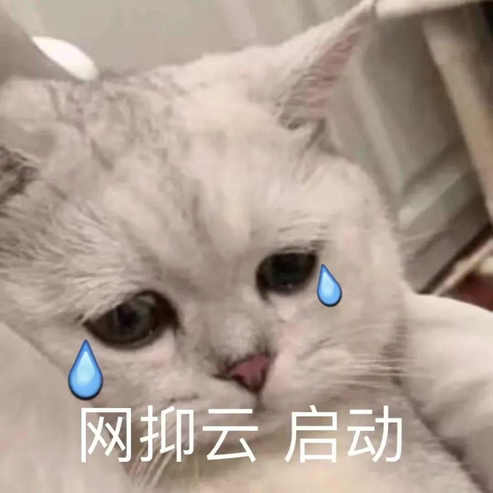 适合日常聊天的搞怪沙雕表情包来啦