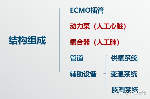 ecmo人工肺