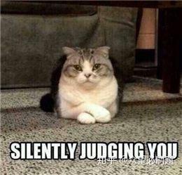 令人欲罢不能的英文沙雕表情包系列 疯狂存图中 知乎